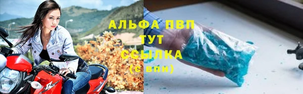 трава Белокуриха