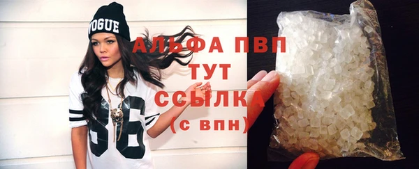 трава Белокуриха