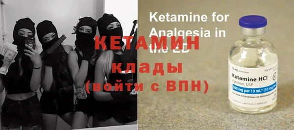трава Белокуриха