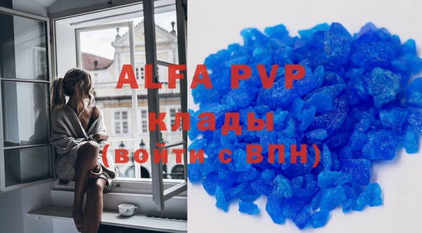 трава Белокуриха