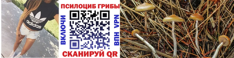 Псилоцибиновые грибы мухоморы  купить   Белоусово 